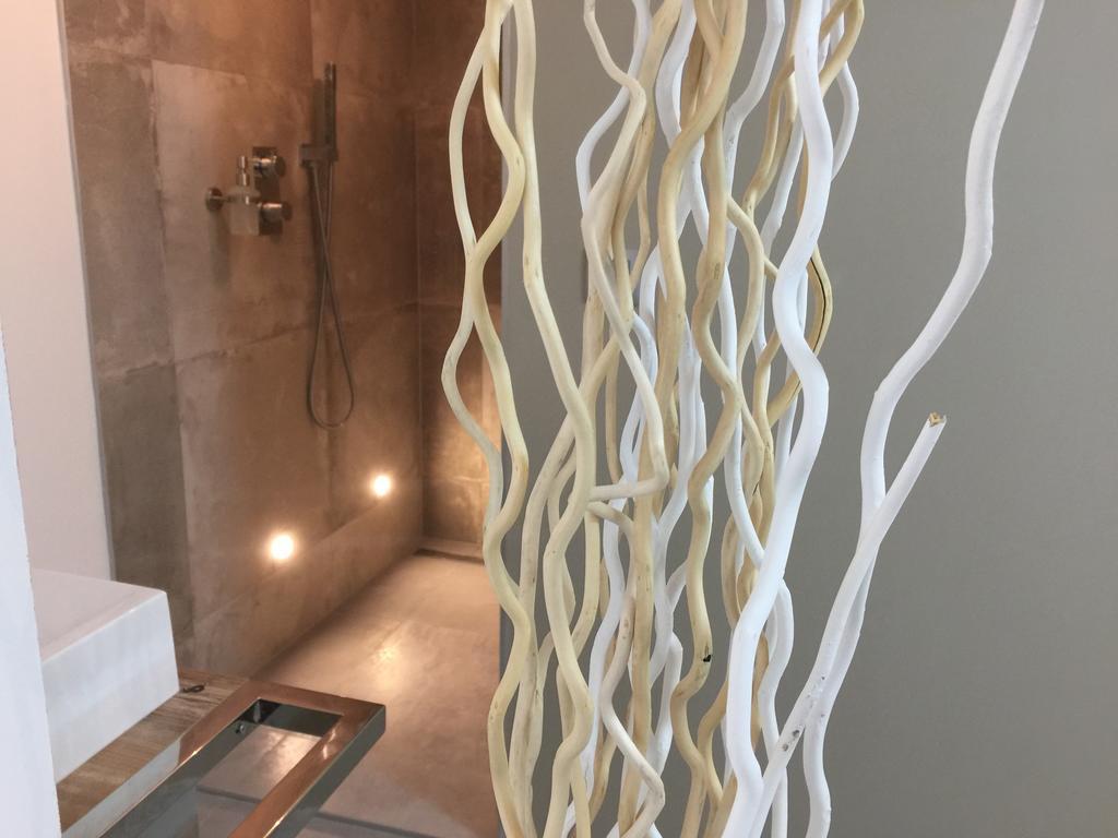 Loft Spa - Cote Chateau. Carcassonne Dış mekan fotoğraf